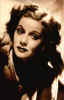 lucyglamour5.jpg (61665 bytes)