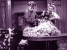 FEATHERS2.GIF (301636 bytes)