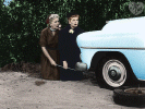 carjack.gif (185106 bytes)